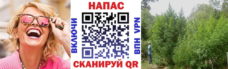 Где купить Звенигород Конопля  Амфетамин  МЕФ 