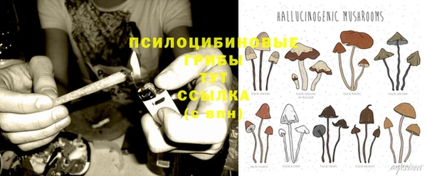 бутират Дмитриев