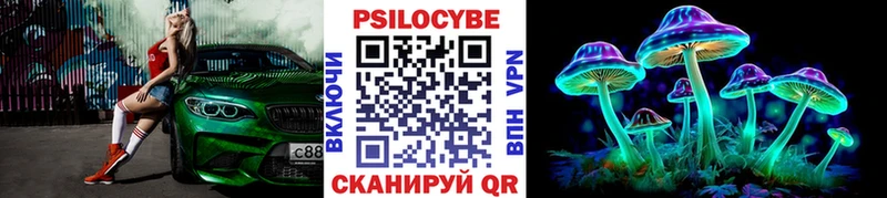 Псилоцибиновые грибы Cubensis Звенигород