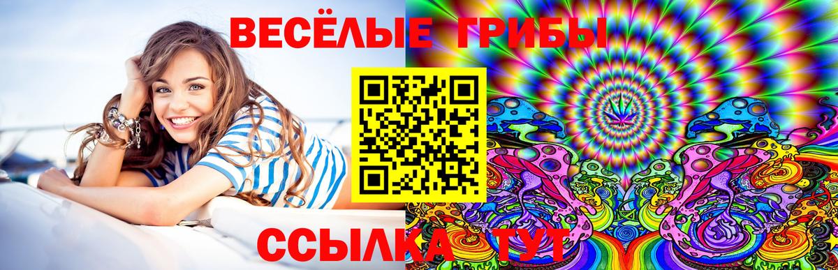 Псилоцибиновые грибы мицелий Звенигород