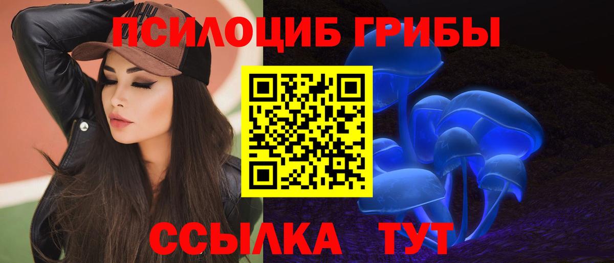 Звенигород  Галлюциногенные грибы Cubensis  Псилоцибиновые грибы Magic Shrooms  купить наркоту  Вход с VPN 