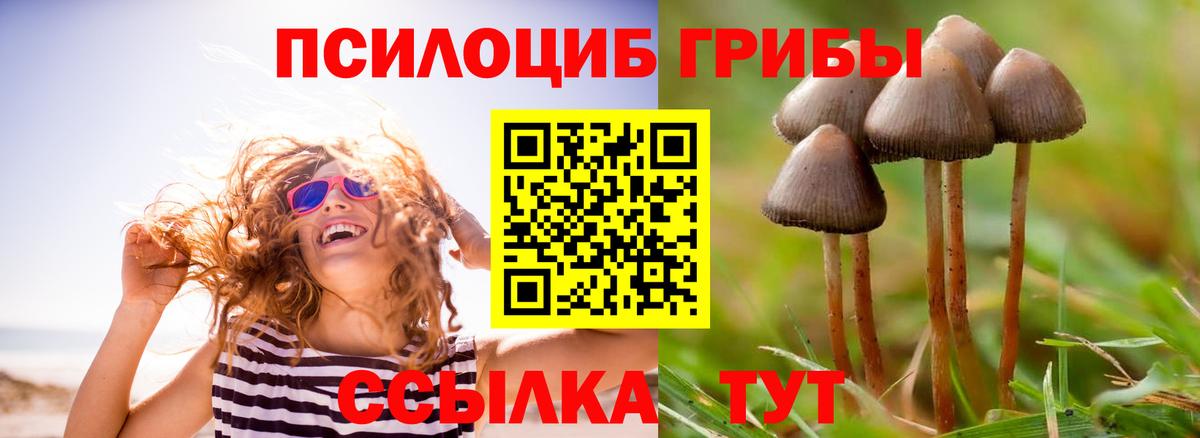 Псилоцибиновые грибы Magic Shrooms  Звенигород 